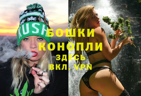 твердый Аркадак