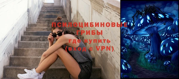 гидропоника Арсеньев