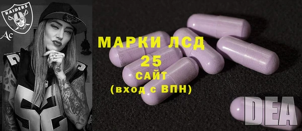 твердый Аркадак