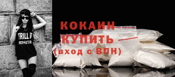твердый Аркадак