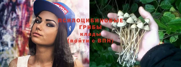 гидропоника Арсеньев